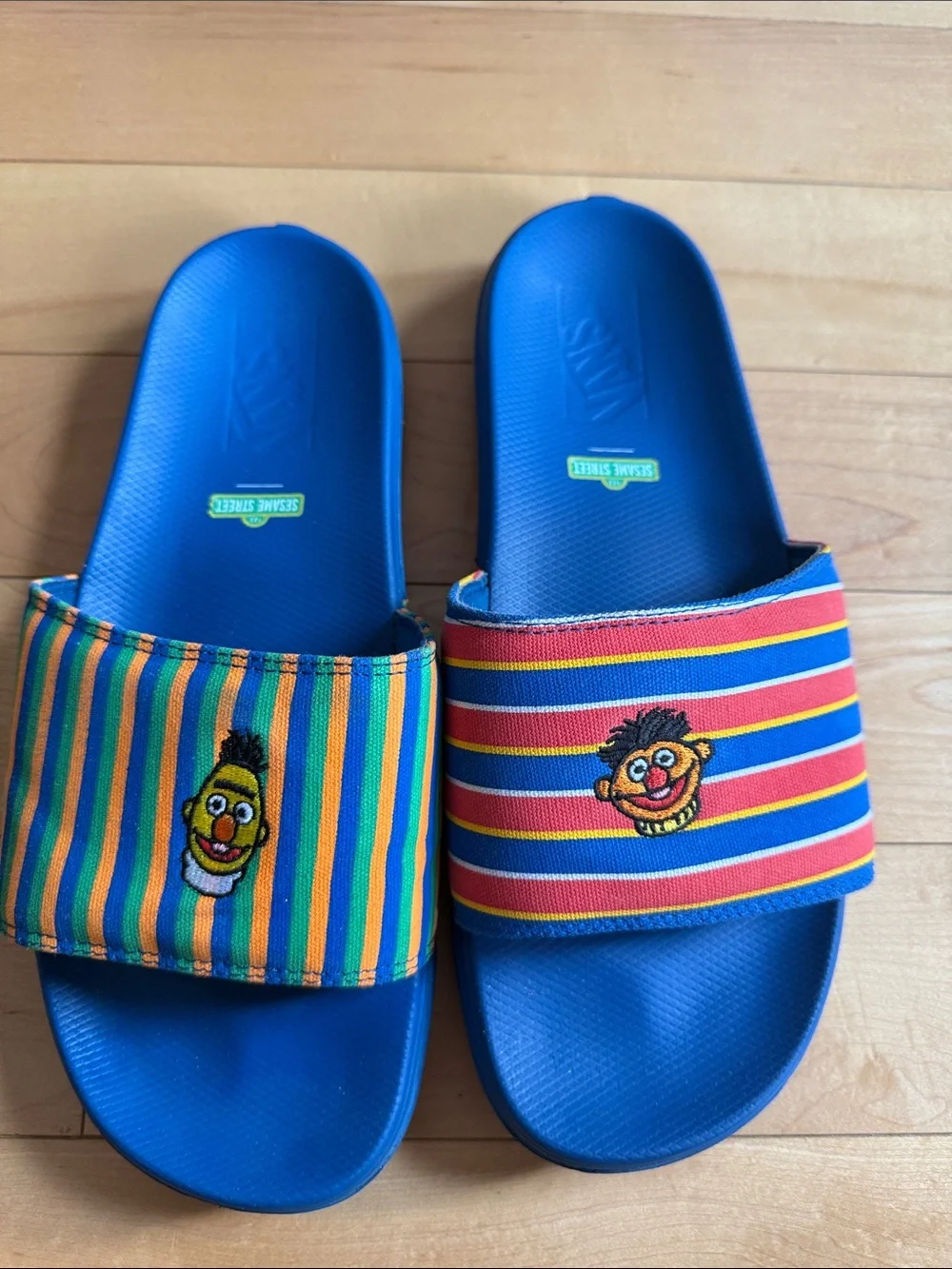 Vans Sesame Street Bert & Ernie Stripe Slide Sandals